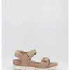 Mujer Panama Jack | Sandalias Panama Jack Sun B4 Taupe